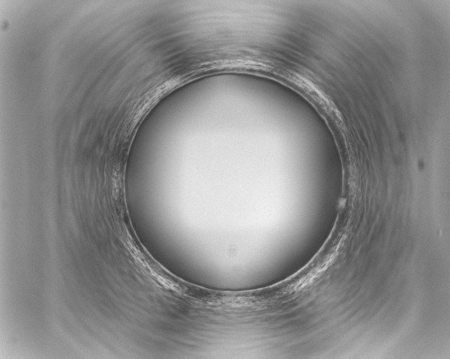 X0000057070993200510071428