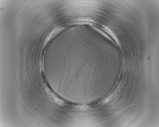 X0000057070994200510071428