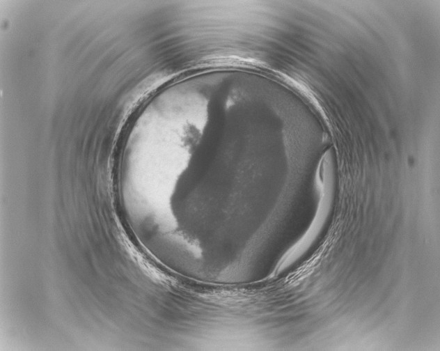 X0000057070995200510071428