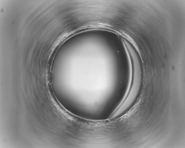 X0000057070997200510071428