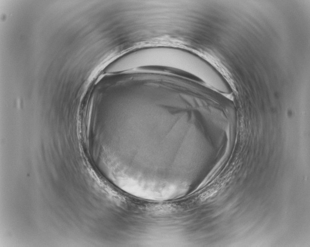 X0000057070998200510071428