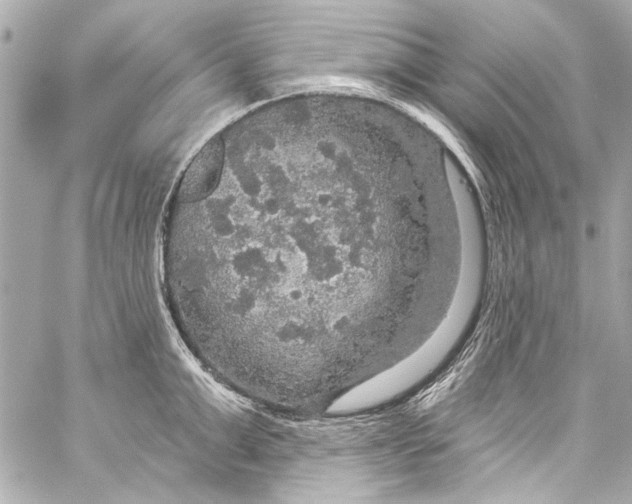 X0000057070999200510071428