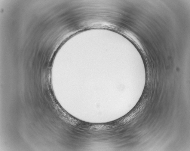 X0000057071000200510071428