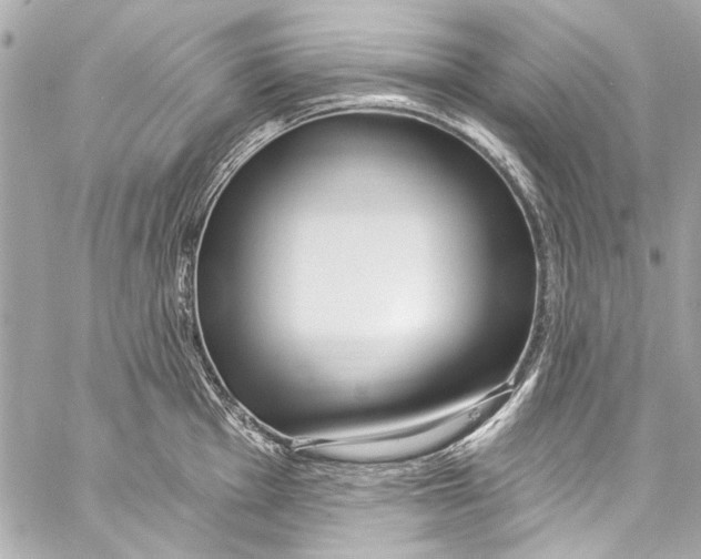 X0000057071001200510071428