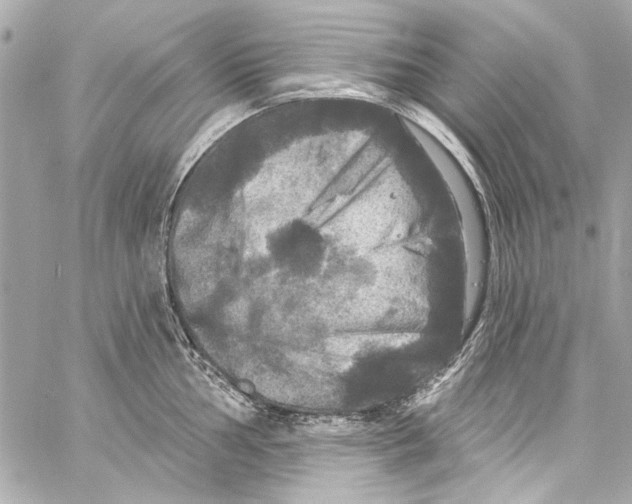 X0000057071002200510071428