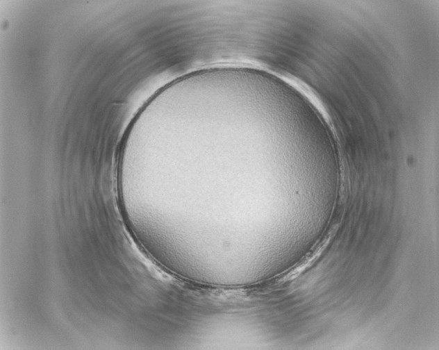 X0000057071006200510071427