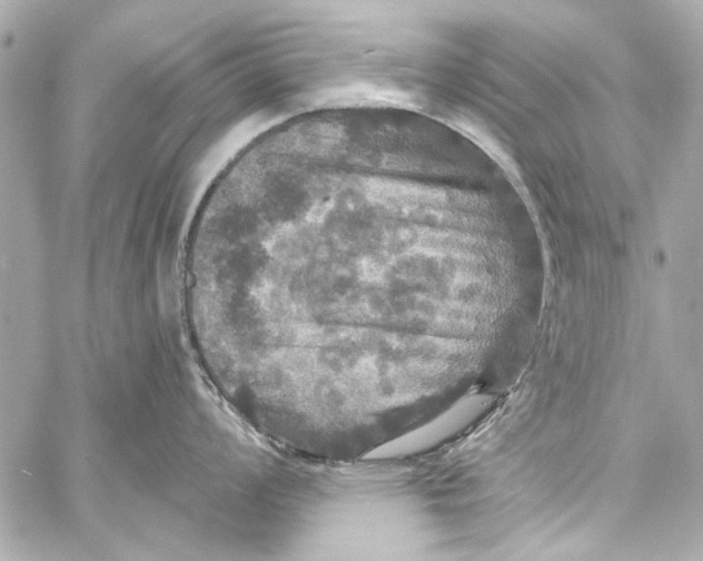 X0000057071008200510071427