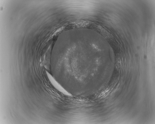 X0000057071010200510071427