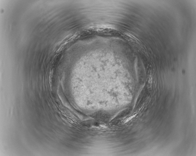 X0000057071014200510071427