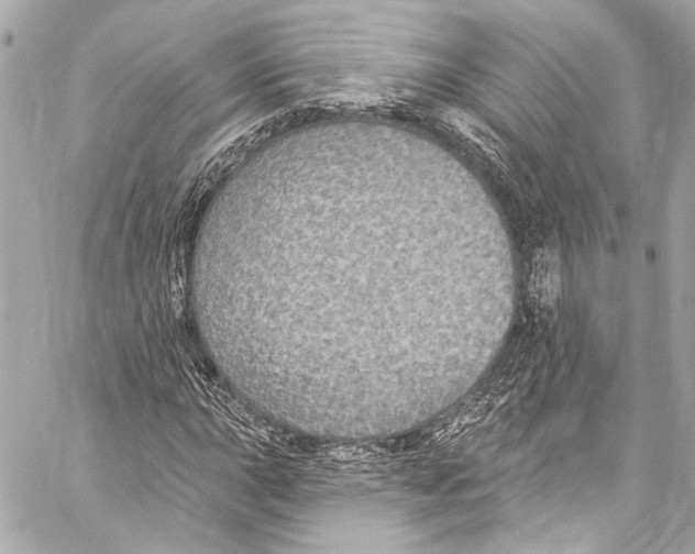 X0000057071015200510071427