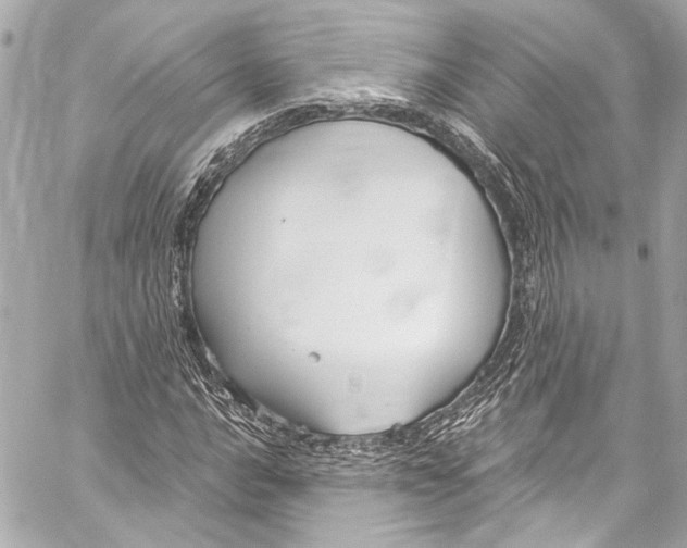 X0000057071016200510071427