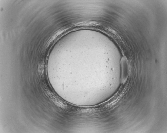 X0000057071017200510071427