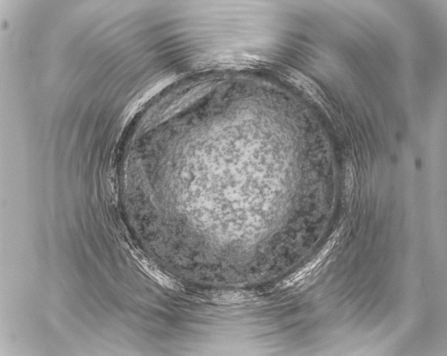 X0000057071018200510071427