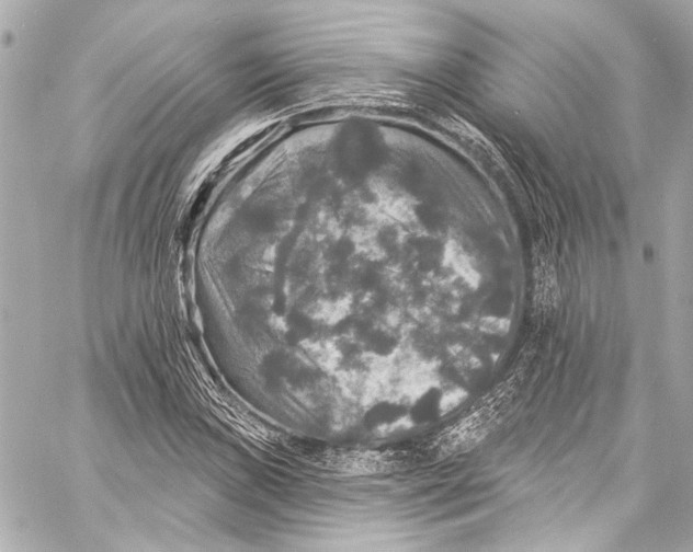 X0000057071019200510071427