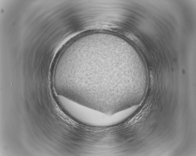 X0000057071020200510071427