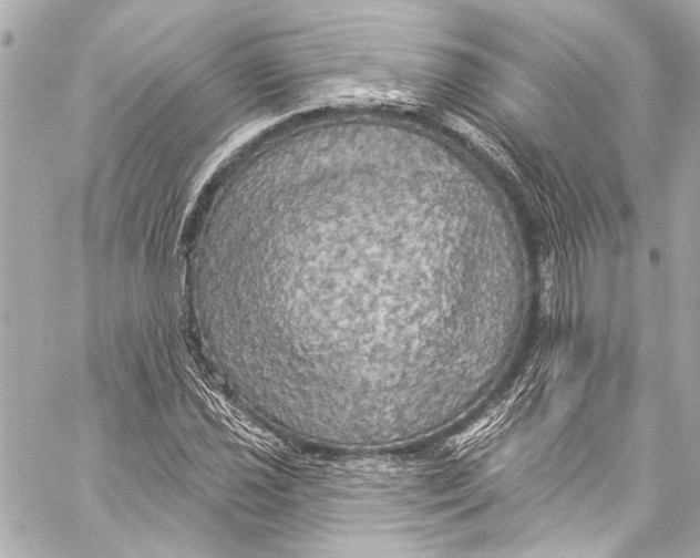 X0000057071021200510071427