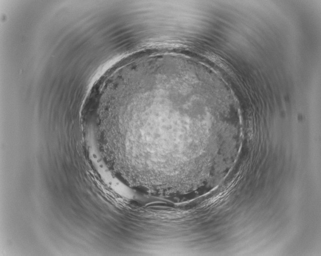 X0000057071022200510071427