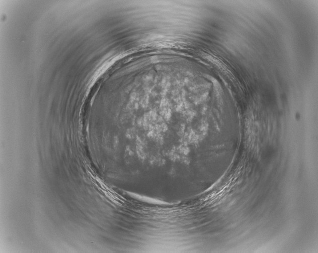 X0000057071023200510071427