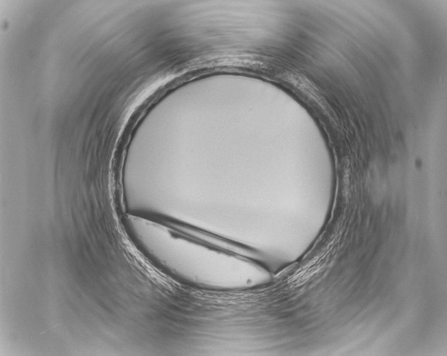 X0000057071024200510071427