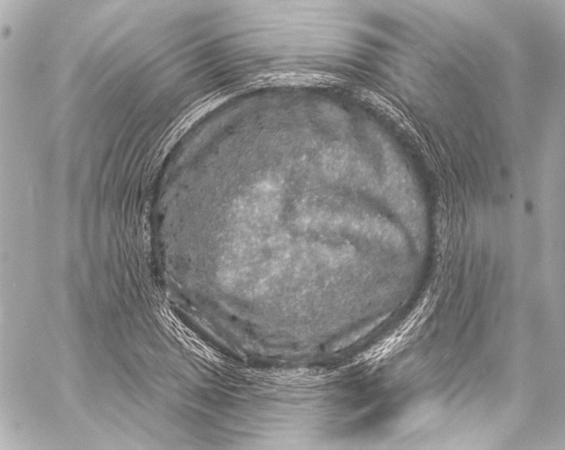 X0000057071025200510071427