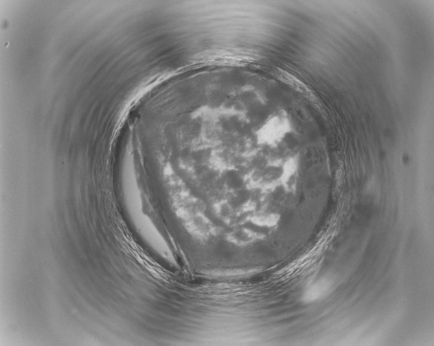 X0000057071027200510071427