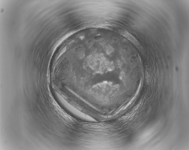 X0000057071028200510071427