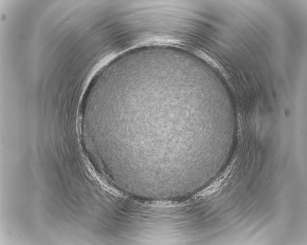 X0000057071029200510071427