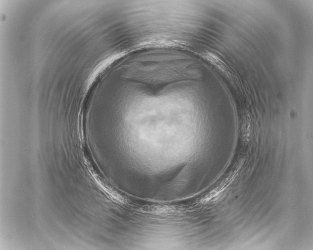 X0000057071030200510071427