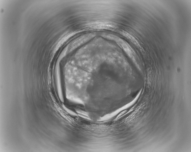 X0000057071031200510071427