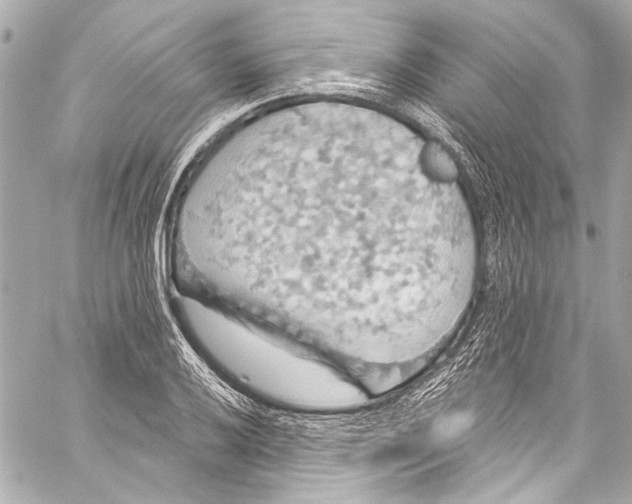 X0000057071032200510071427