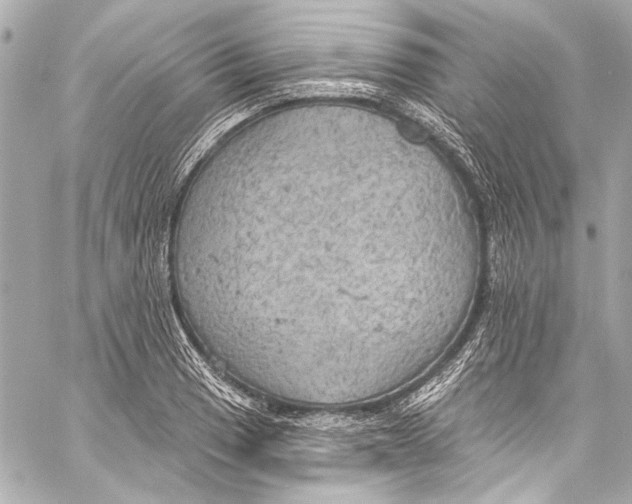 X0000057071033200510071427