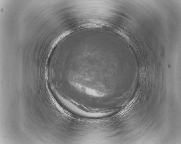 X0000057071034200510071427