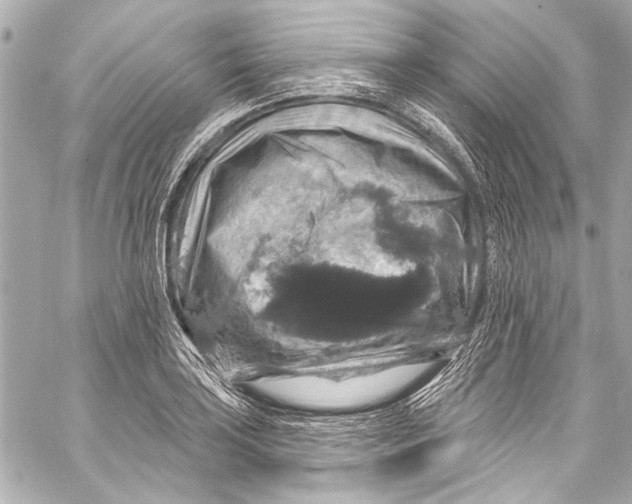 X0000057071035200510071427