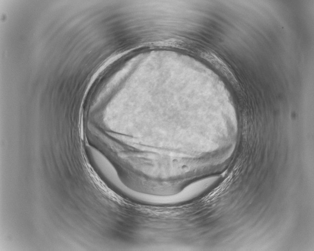 X0000057071036200510071427