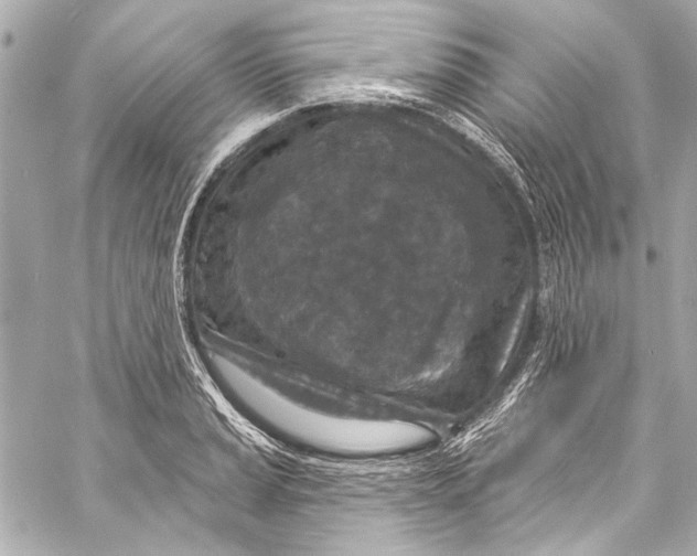 X0000057071037200510071427