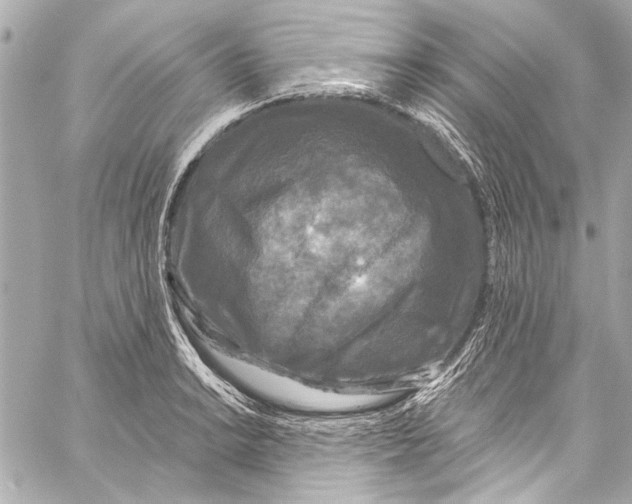 X0000057071038200510071427