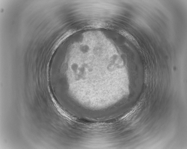 X0000057071039200510071427