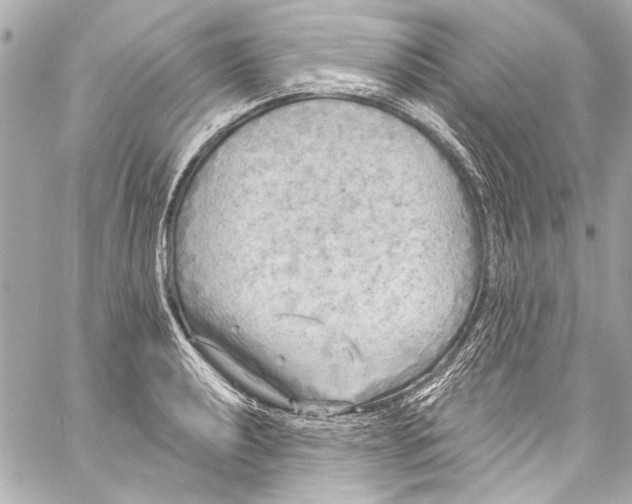 X0000057071040200510071427