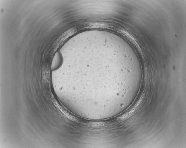 X0000057071041200510071427