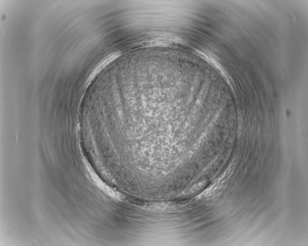 X0000057071042200510071427