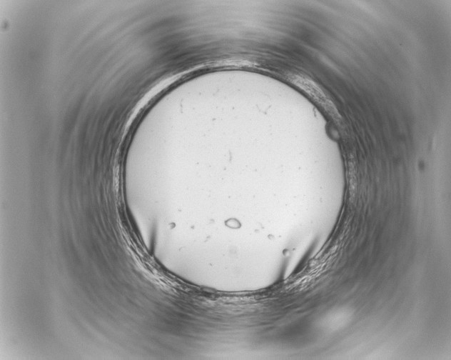 X0000057071044200510071427