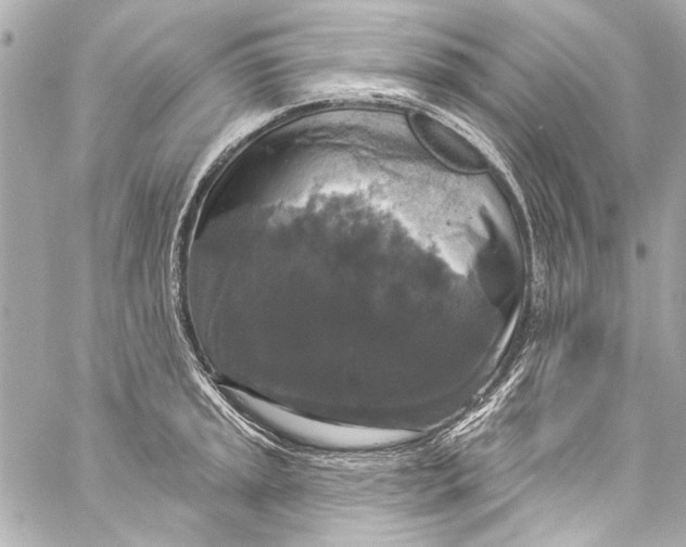 X0000057071045200510071427