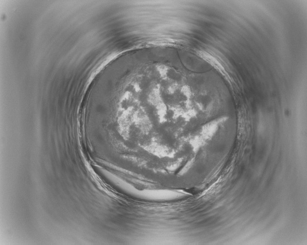 X0000057071047200510071427