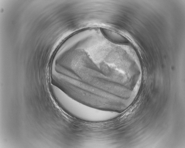 X0000057071048200510071427