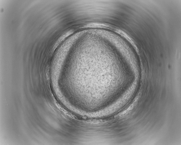 X0000057071049200510071427