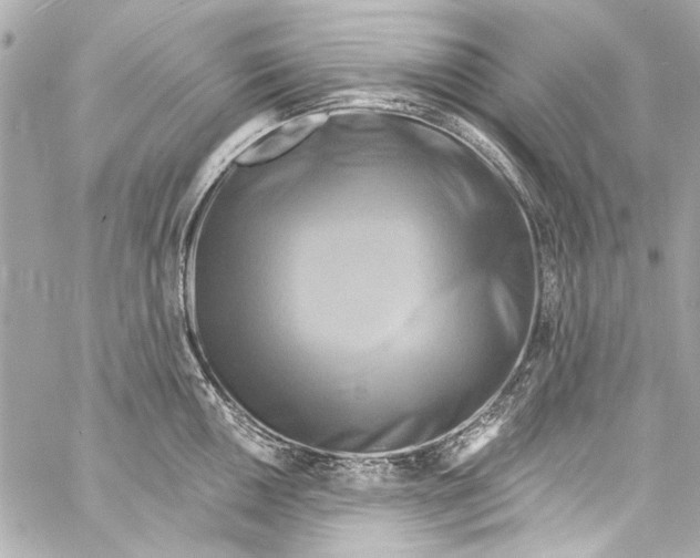 X0000057071050200510071427