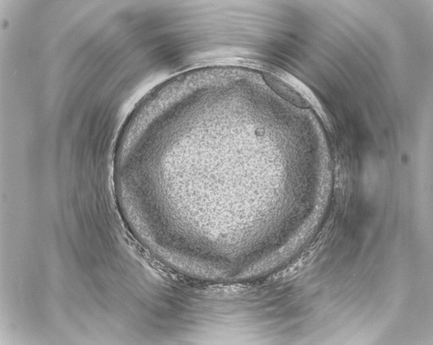 X0000057071051200510071427