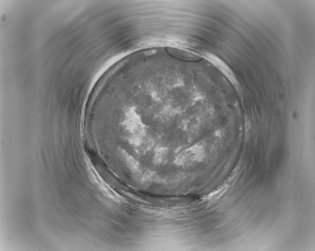 X0000057071052200510071427