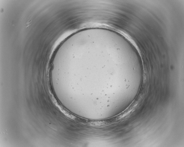 X0000057071053200510071427