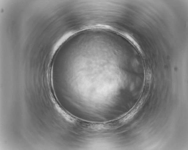 X0000057071054200510071427